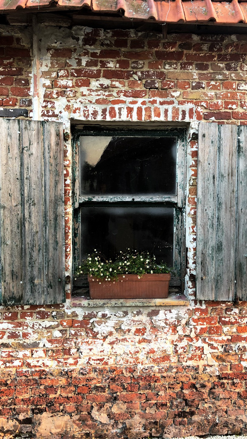 Pier & Mari 2018 France/Belgium. Wedding and family photographer in Moscow