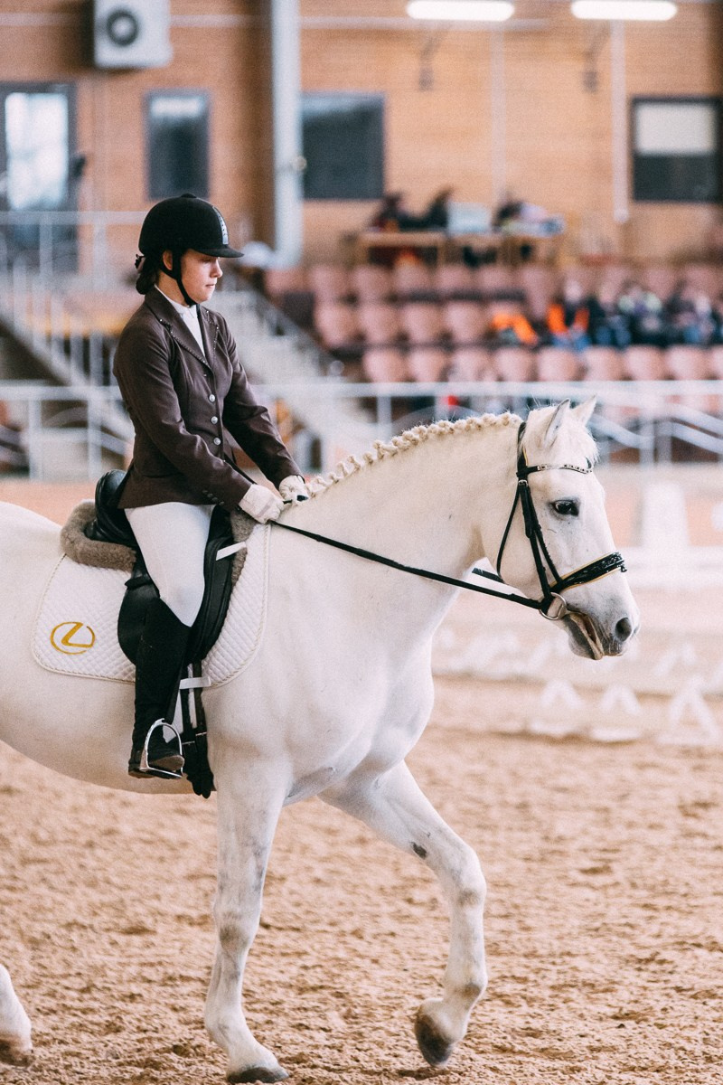 Выездка КСК «Дерби». Репортажный и семейный фотограф в Санкт-Петербурге Тарас Марченко