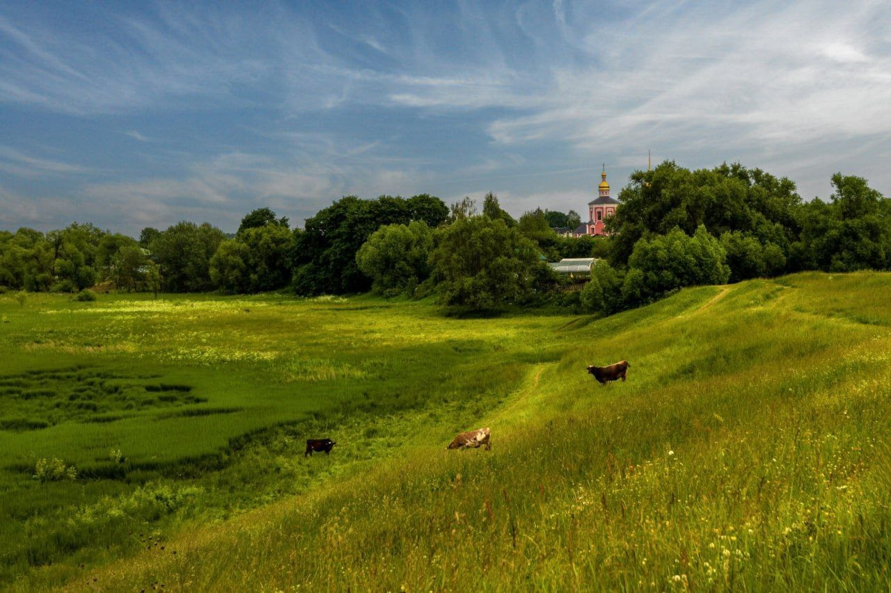 Шерман Владислав. Фотообъединение Самарского областного отделения Союза журналистов России
