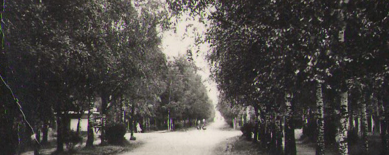 Общие виды г. п.Назия в начале 1980-х. История Назиевского городского поселения