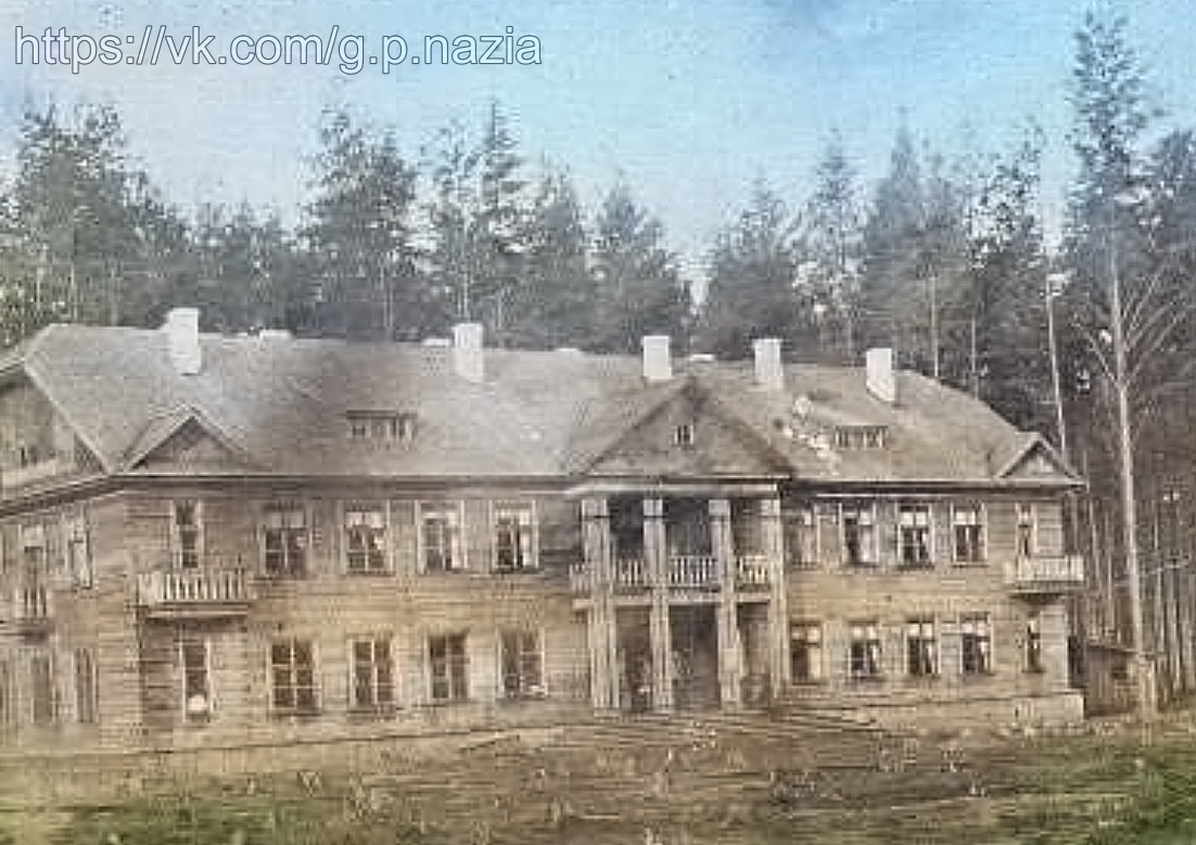 Довоенные фотографии «Рабочего посёлка № 8». История Назиевского городского поселения