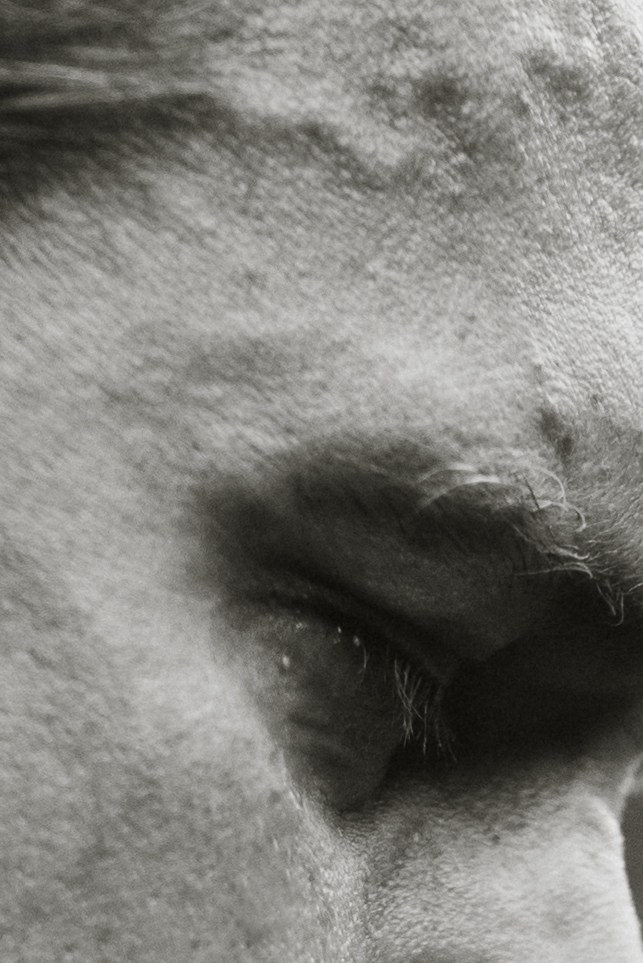 Галерея. Фотоведьма Дарья Нечинская