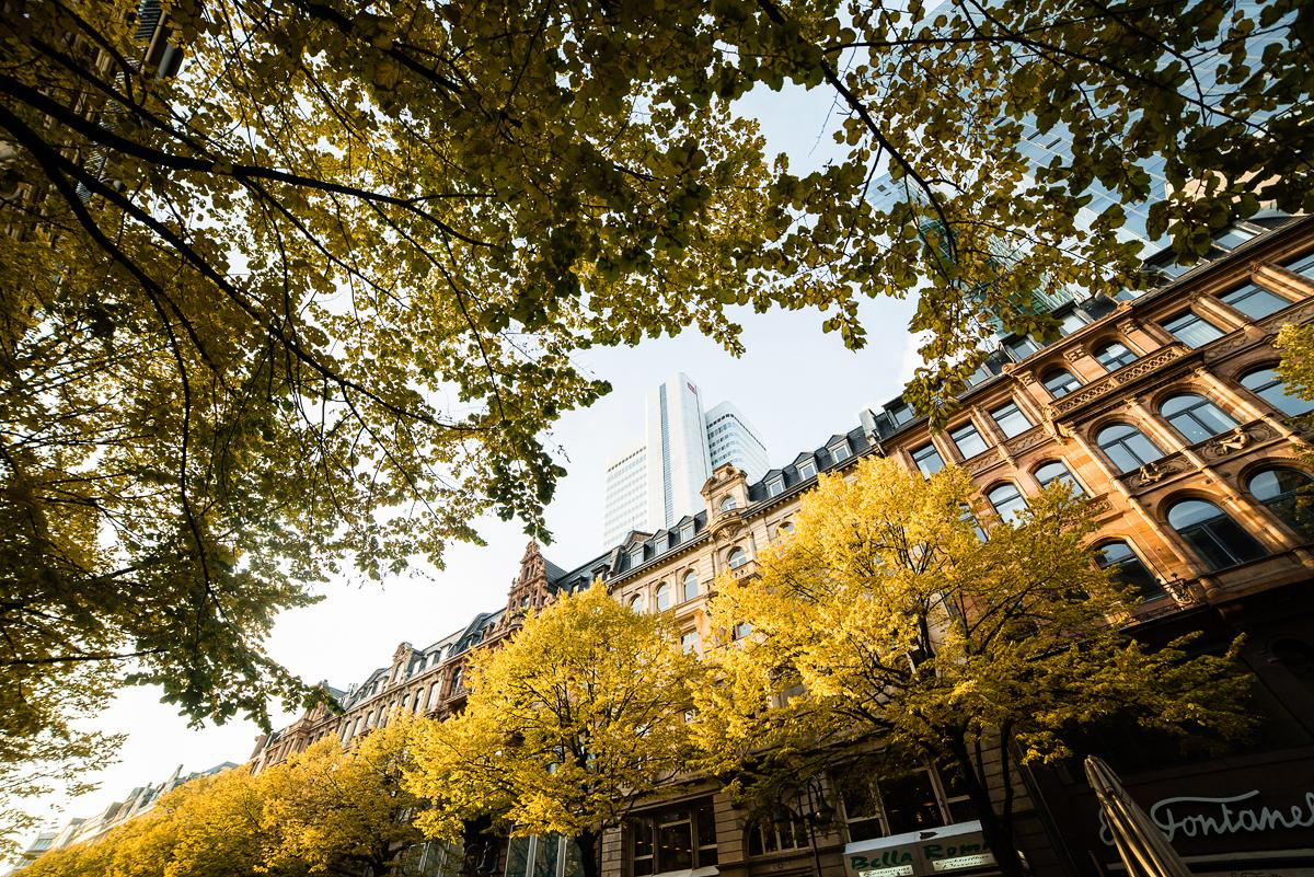 Frank & Xenia. Germany, Frankfurt 