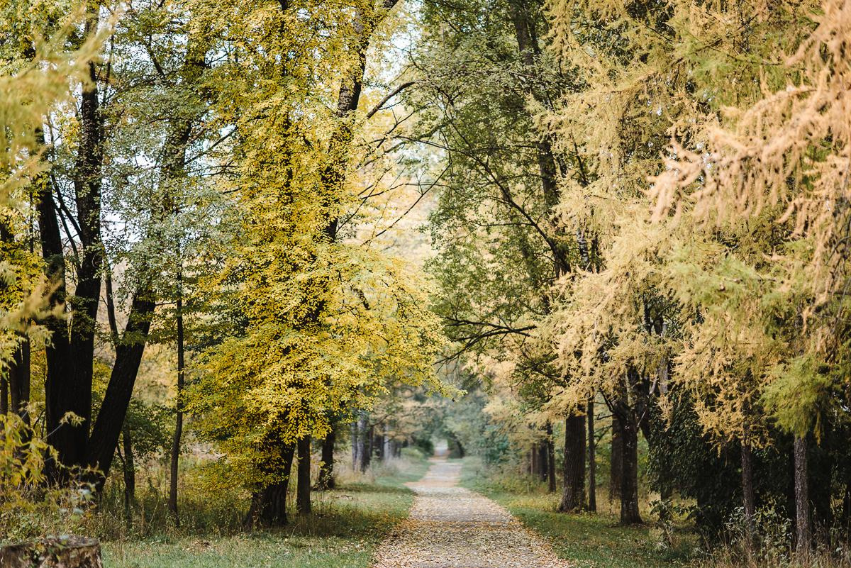 Стас и Света