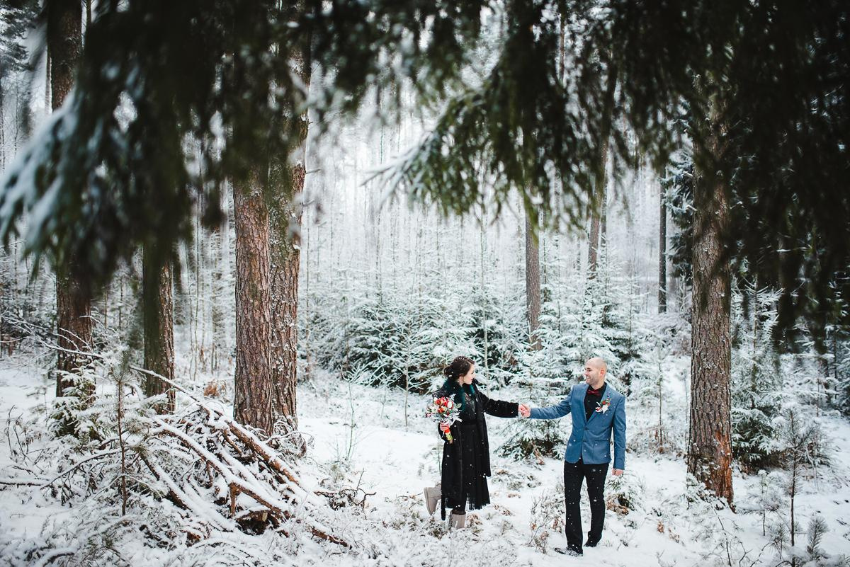 Виктория и Александр. Зимняя сказка