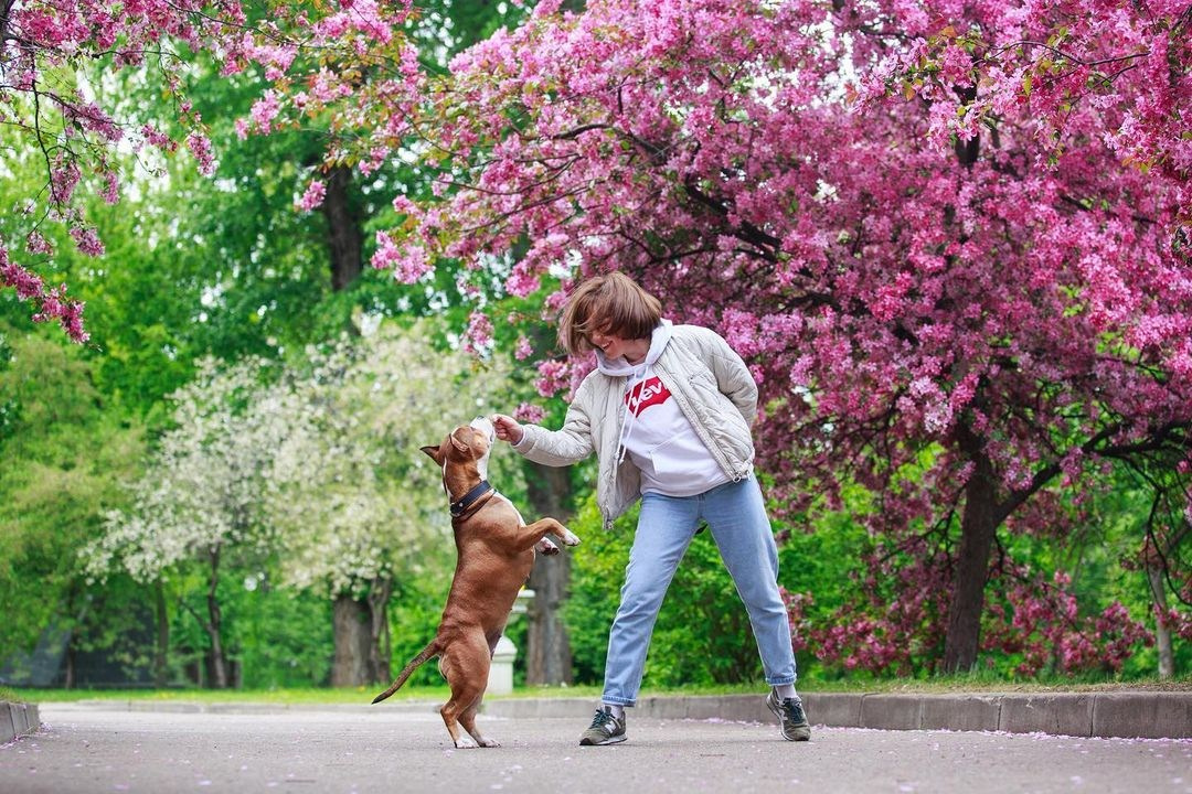 Весеннее цветение в парках. Семейный и детский фотограф в Москве Мария Быкова
