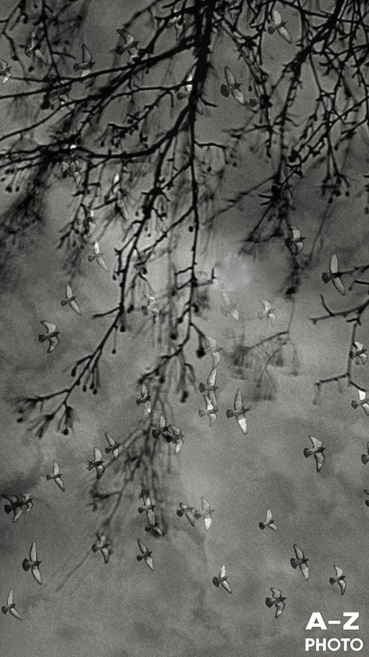 #ФОТОНЕДЕЛИ 23.03.2026. Женский семейный фотограф Тула Москва Захарова Анна