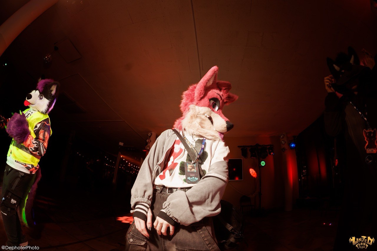 United Furry Convention 2026. Различные мероприятия и просто фотографии людей