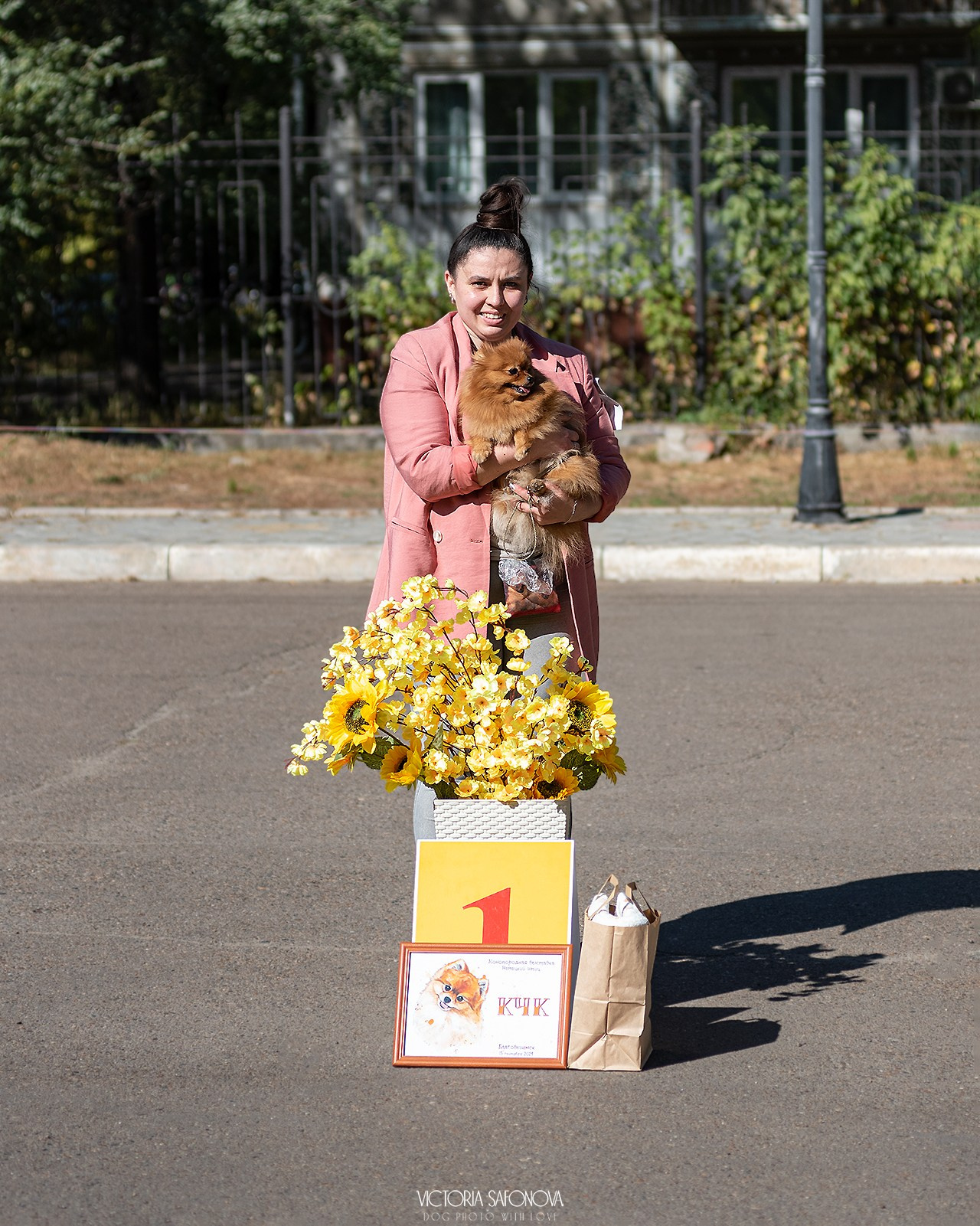 15 сентября 2024. Благовещенск. Монопородная выставка шпицев. Фотограф анималист Благовещенск. Сафонова Виктория