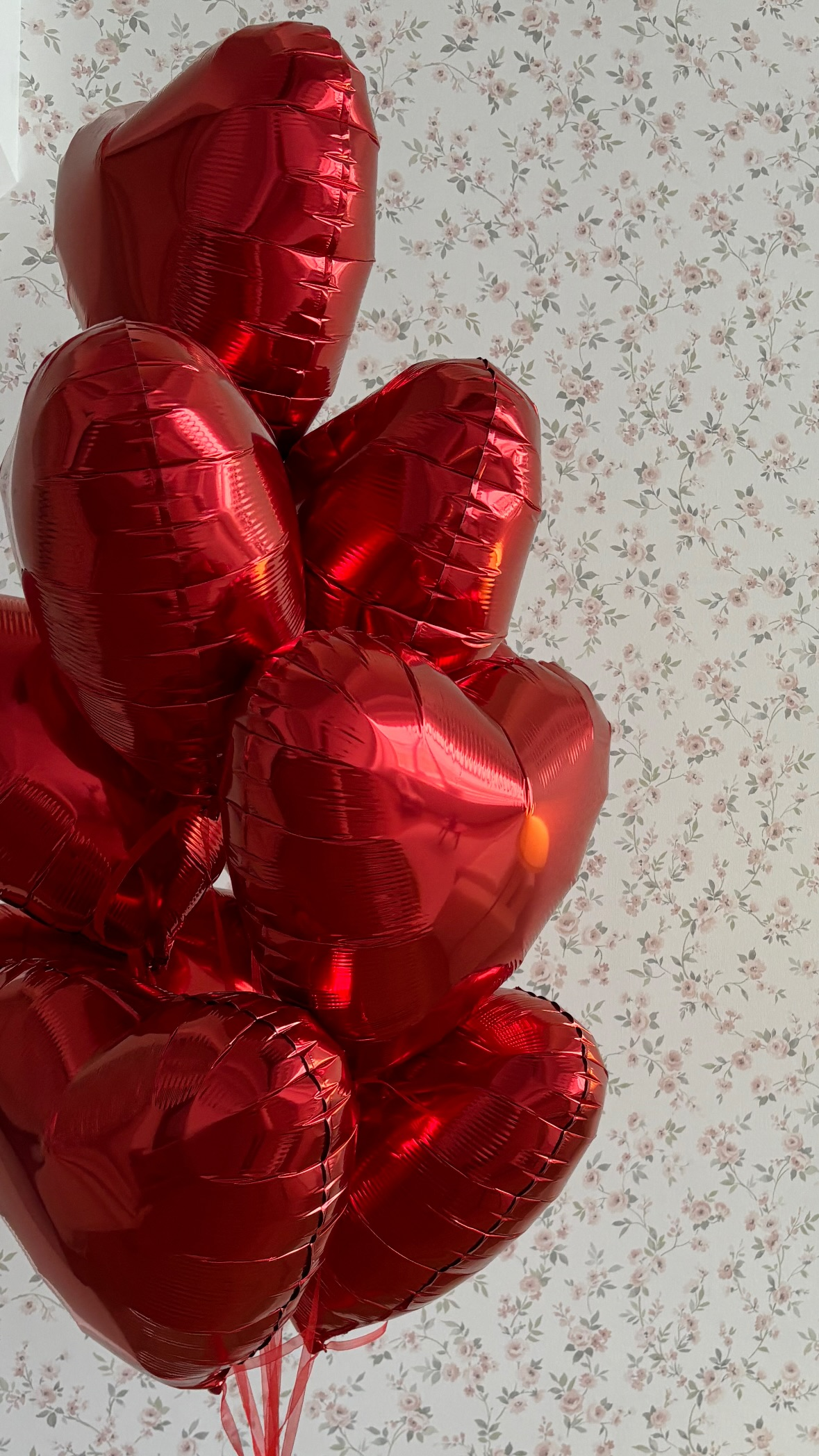 Фотостудия Поле — всё для комфортной и красивой съёмки. Фотограф в Минске Людмила Дутко