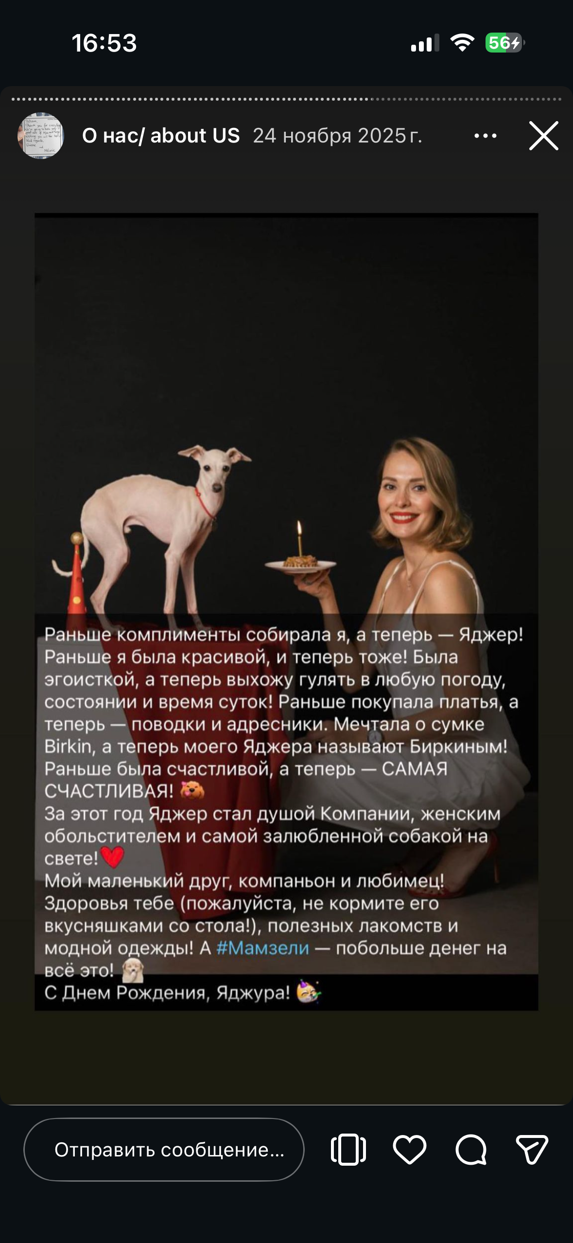 Отзывы от наших любимых владельцев. Профессиональный питомник левреток РКФ/FCI ASTI SAPPHIRE 💎 Сочи|Санкт-Петербург