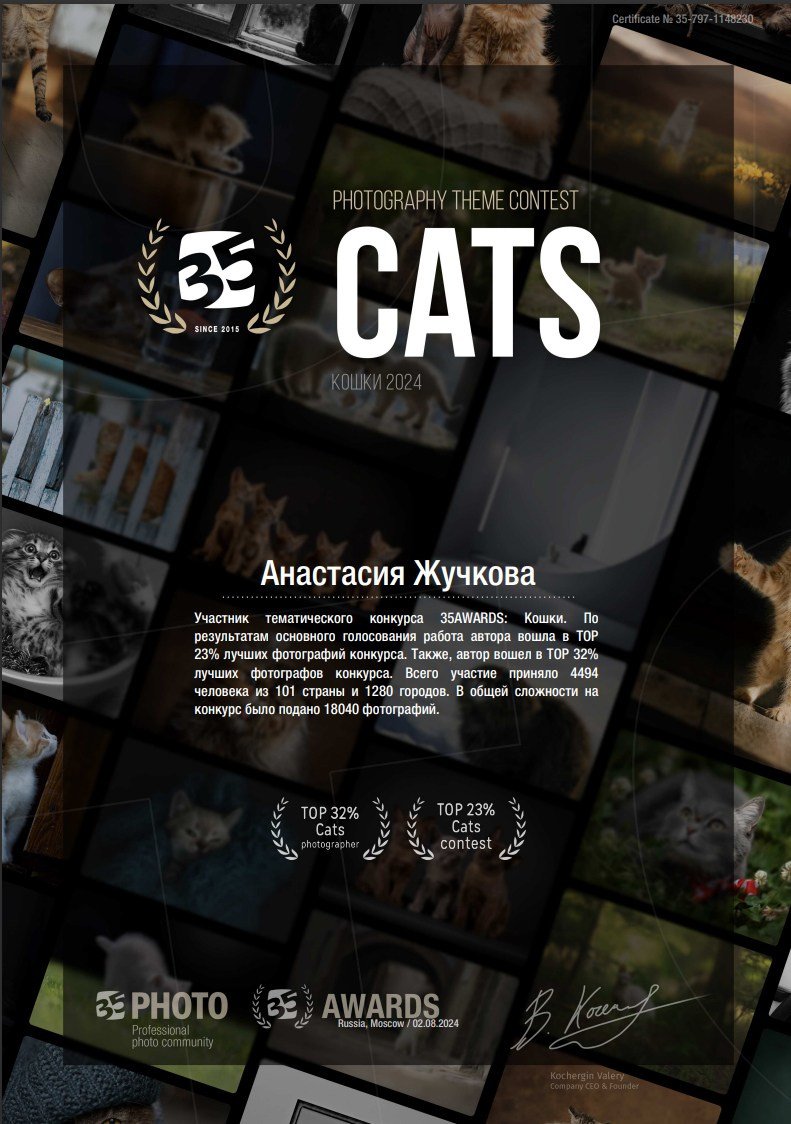 Мои Дипломы. Фотограф Анималист в Москве Анастасия Жучкова