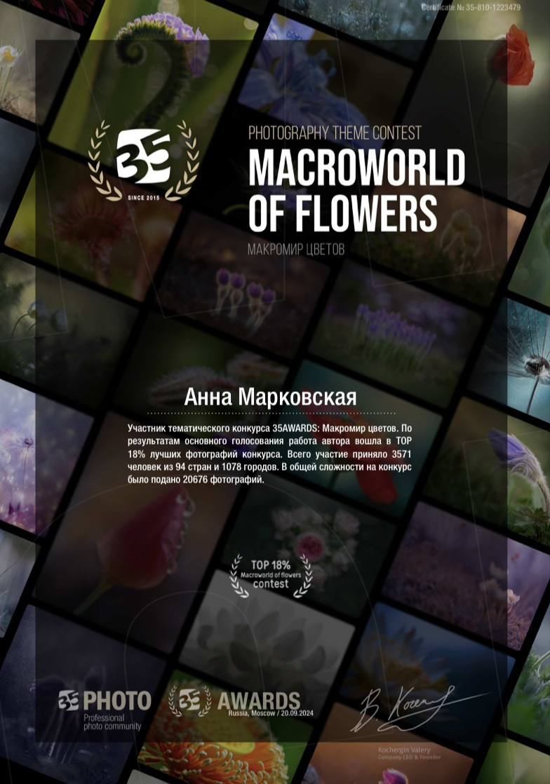 Достижения. Детский и семейный фотограф в Санкт-Петербурге Анна Марковская