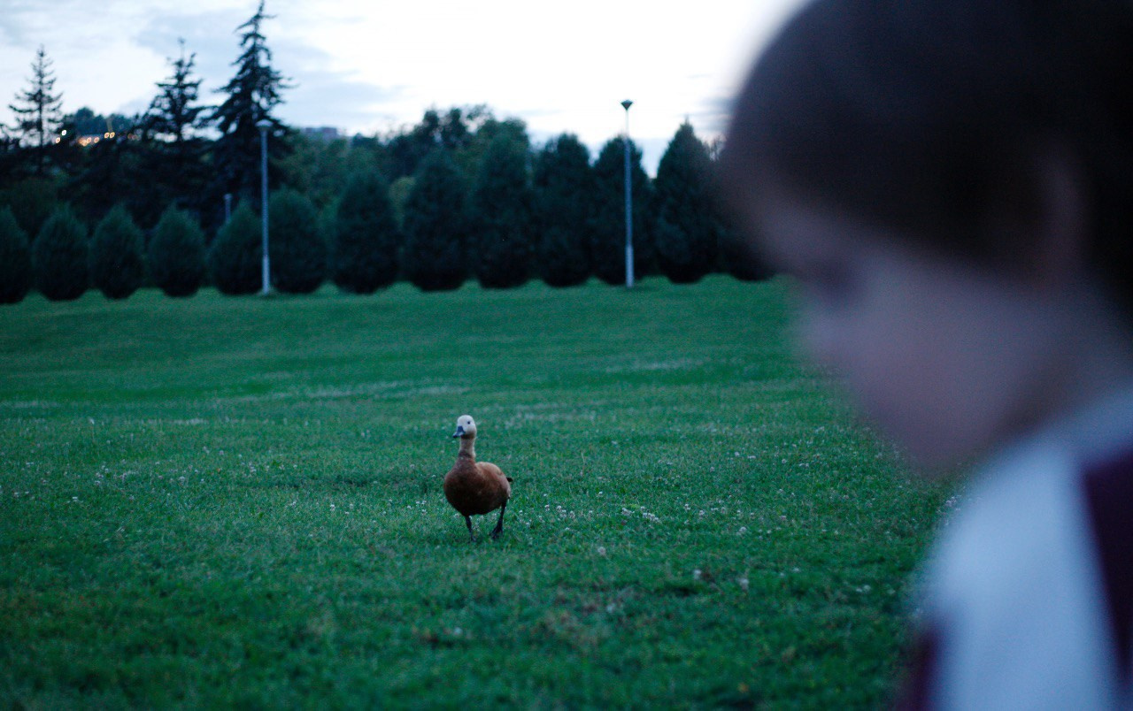Семейная прогулка. Фотограф в Москве Юлия Майорова