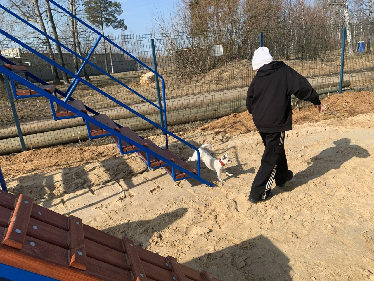 Практические занятия по дрессировке. НРОО КЦ "Собаковод"