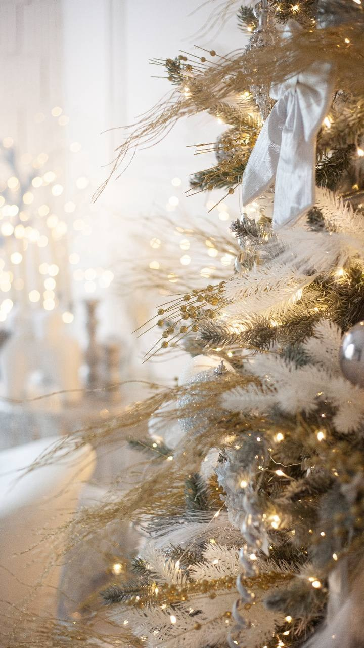 Новогодние фотодни Мытищи. Katerina Schastlivaya