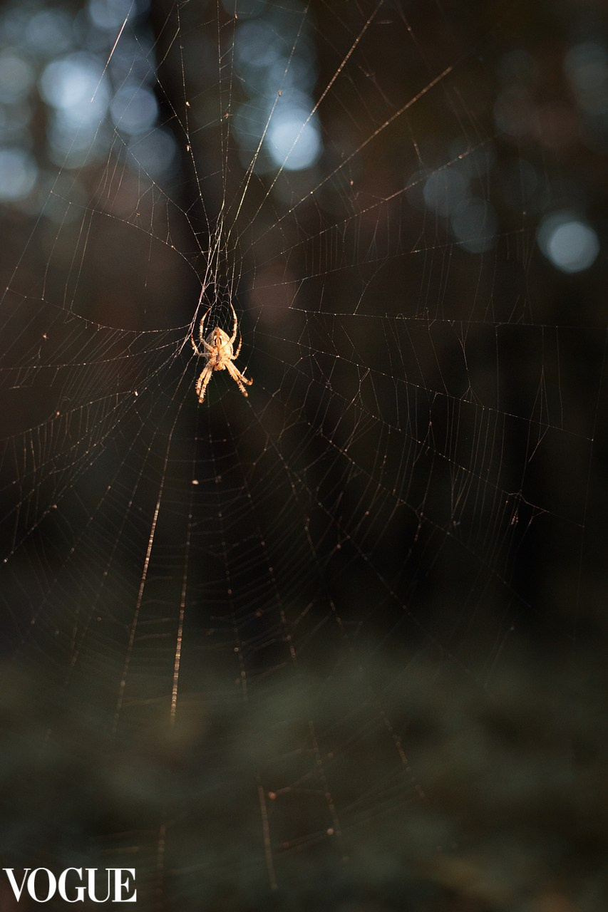 Мои публикации в журнале Vogue. Семейный и детский фотограф в Ярославле Елена Макшеева