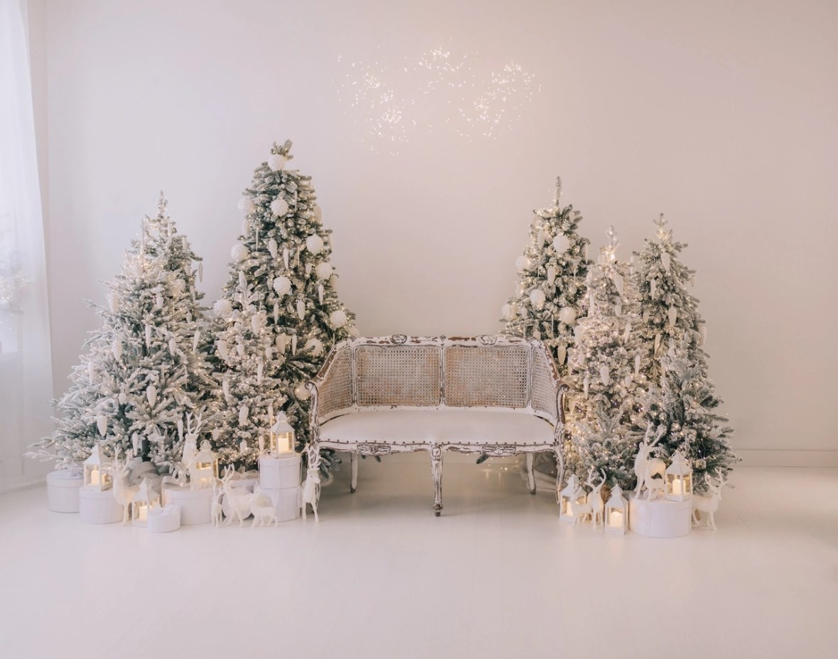 Локации для новогодних съёмок 2024-2025. Свадебный и контент фотограф в Белгороде Ярослав Гаврилейченко