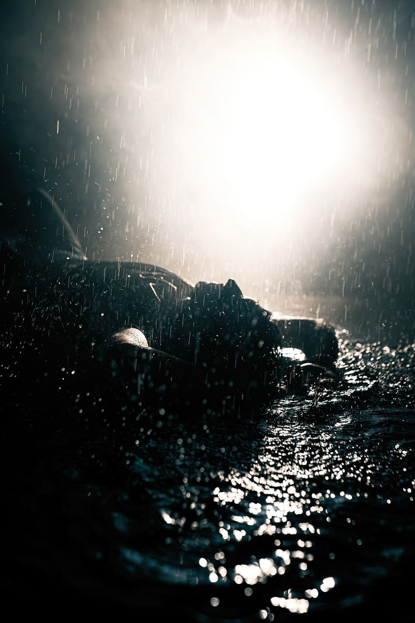 MZLFF. Фотограф Лосев Артём