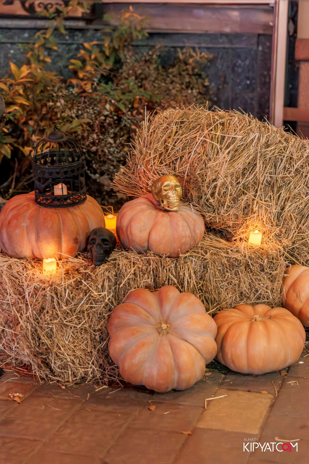 HALLOWEEN PARTY — OLOVO BAR НА ДОСТЫК. КИПЯТКОМ АЛМАТЫ!