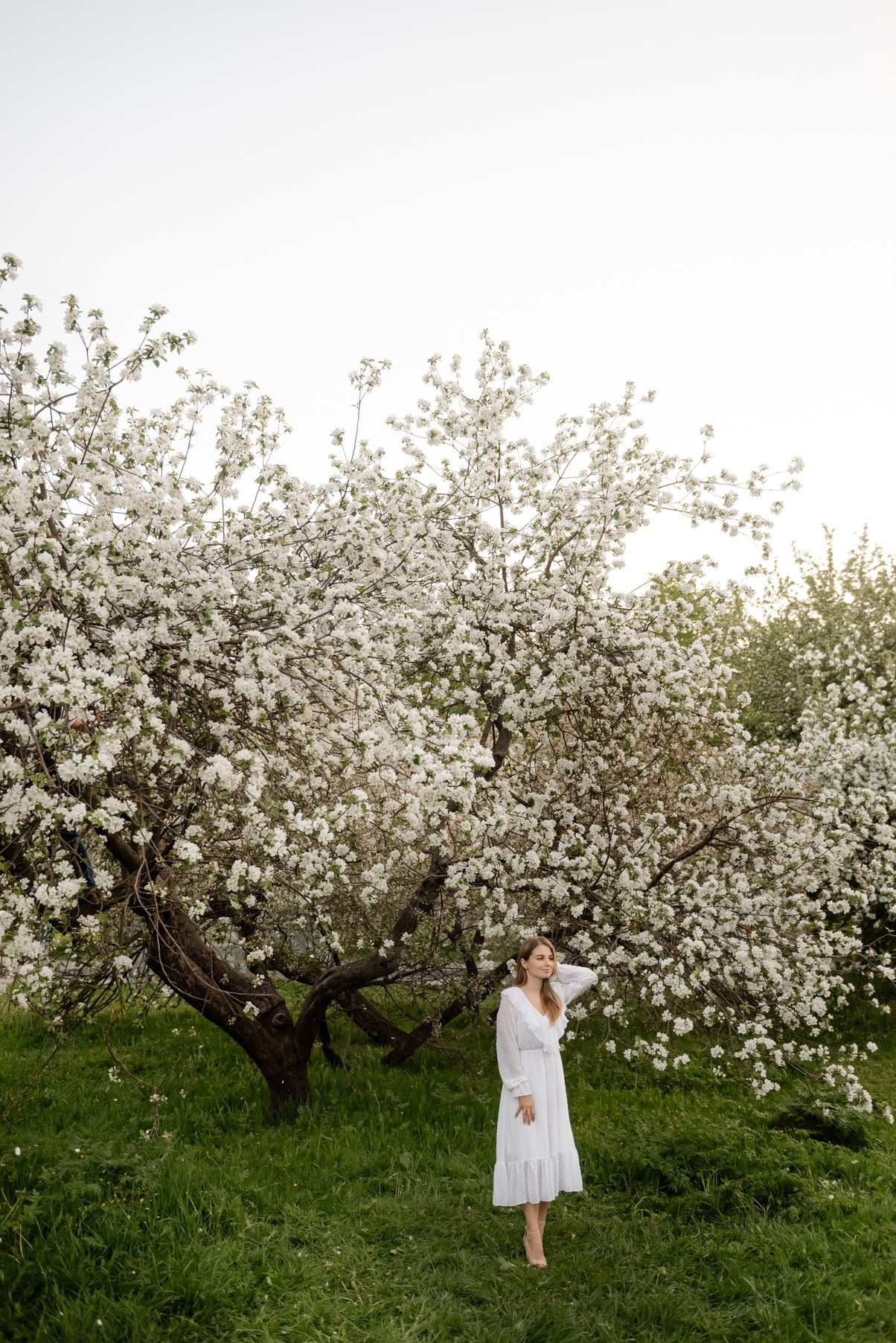 Яблоневое цветение. Свадебный и сеейный фотограф в Санкт-Петербурге Елена Худякова