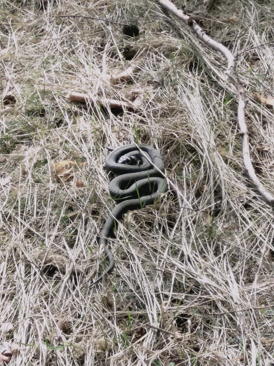 Аня Зайцева «Видимое-невидимое». Private image