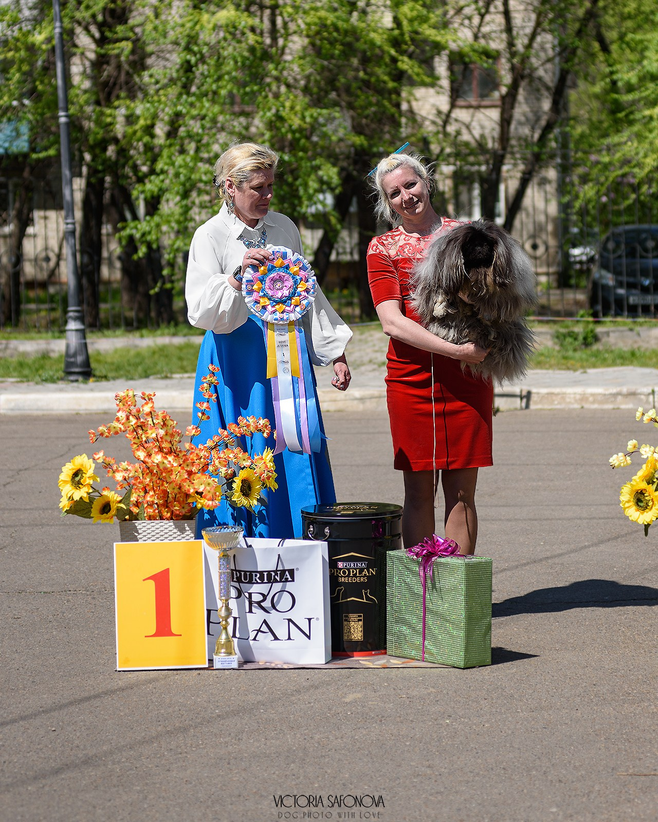18–19 мая 2024 Благовещенск. Фотограф анималист Благовещенск. Сафонова Виктория