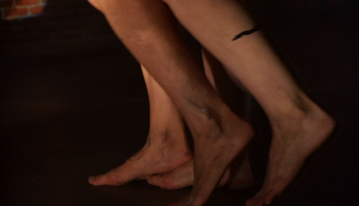 Красное дерево. Фото / Видеосъемка в Москве