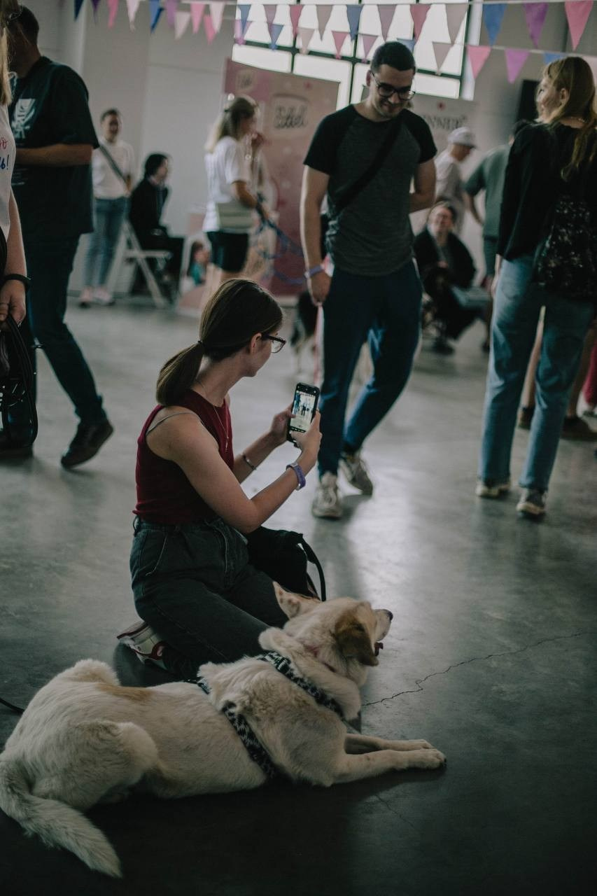 Прогулки и волонтерство. Забери домой друга