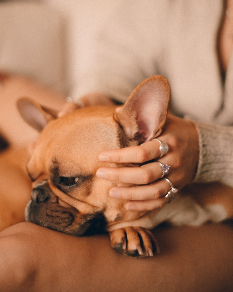 Дарья. Фотограф Краснодар Ирина Гафланова