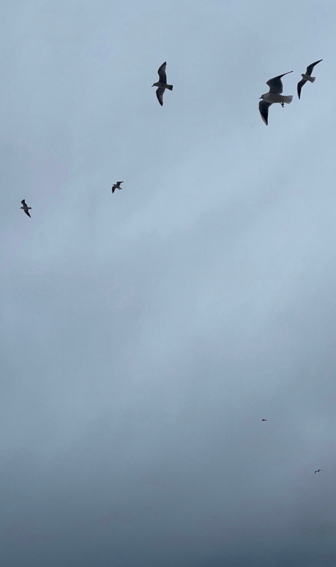 Калининград. Организатор Авторских Туров Жукова Алёна