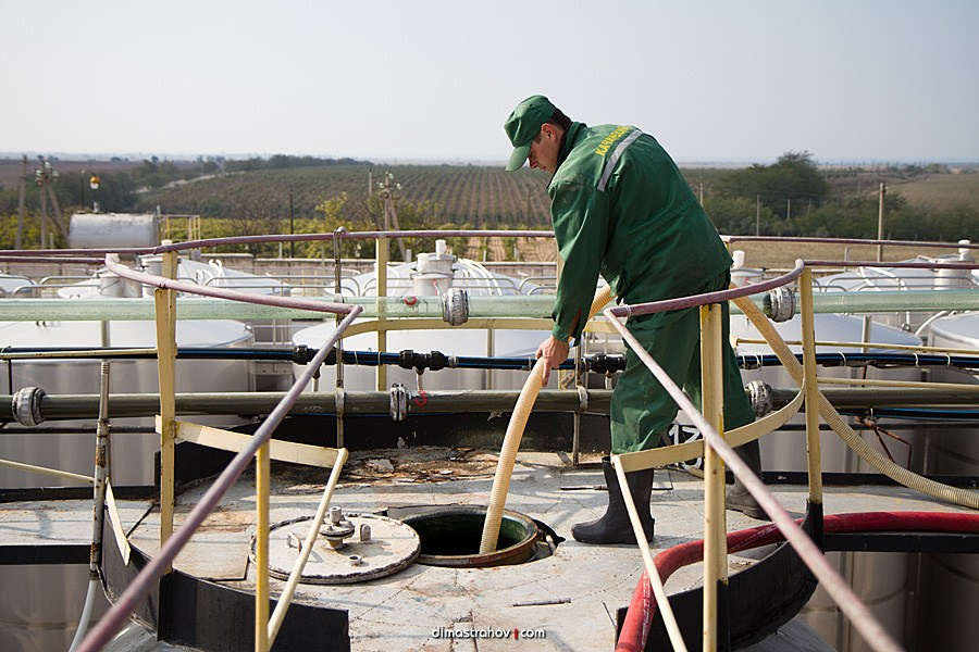 Винзавод Качинский +. Свадебный фотограф, фотосъемка в Крыму, Севастополе, Симферополе, Ялте