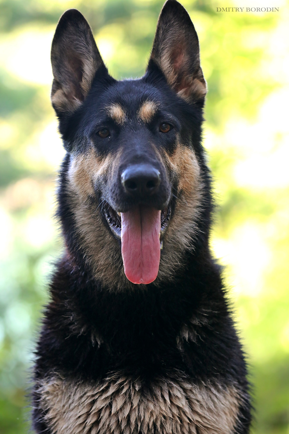 ВЕО. Фотограф Дмитрий Бородин