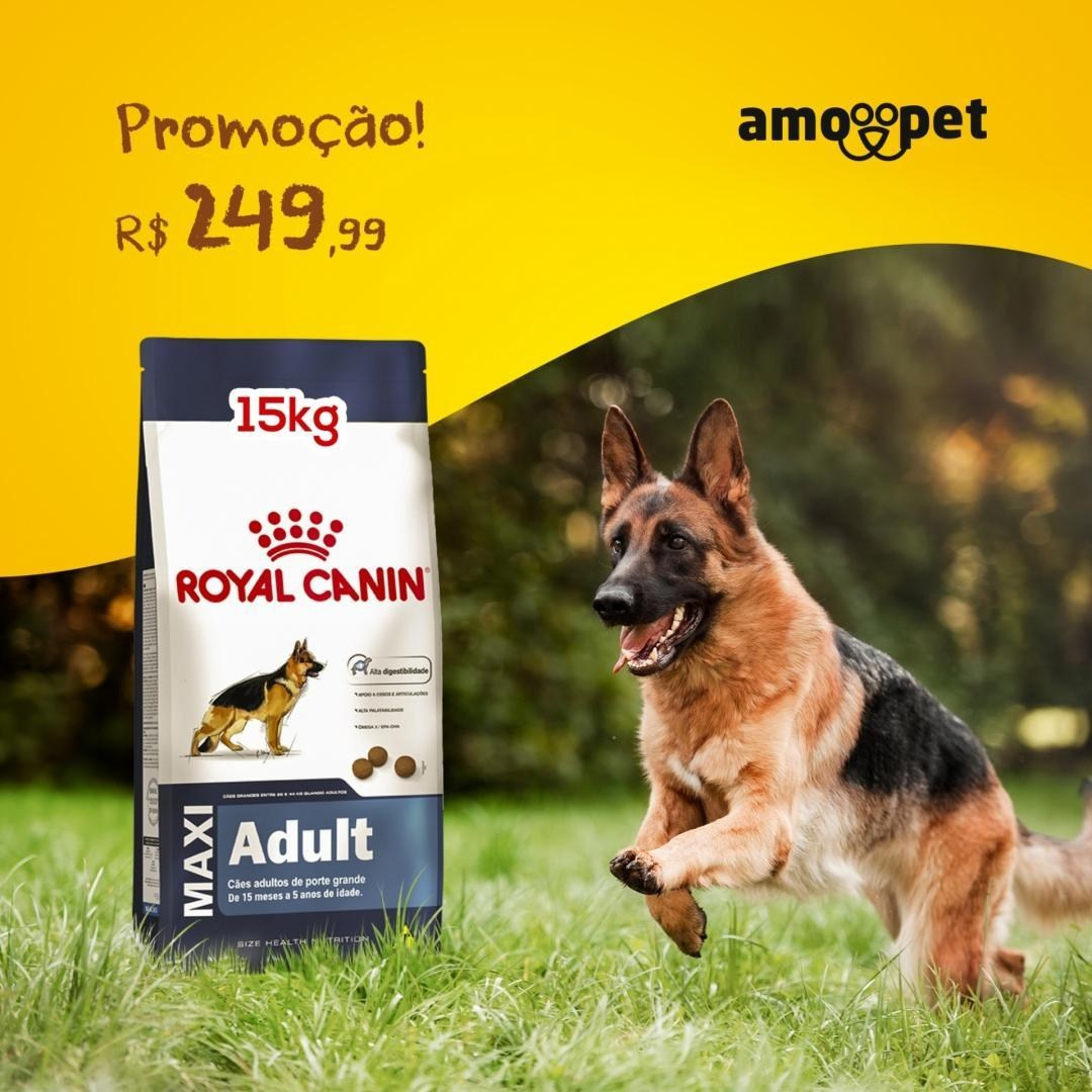 О фотографе TitAnya. Фотограф собак, фотограф-анималист Аня Титова (Titanya). Москва