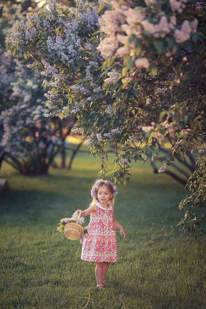 Сирень. Фотограф Юлия Рязанова Москва семейный и детский