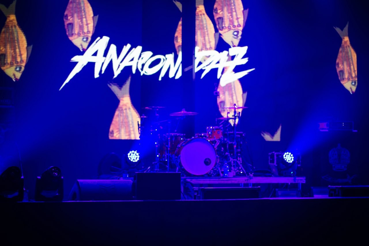 Anacondaz. Магия музыки в кадре: Концертная Фотография