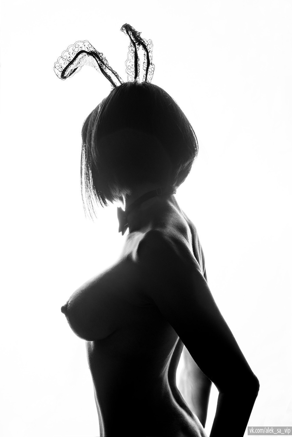 Пенис емізік ретінде