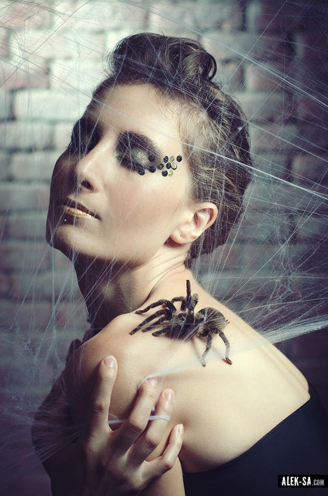 Портрет с пауком на плече — креативная студия, Краснодар