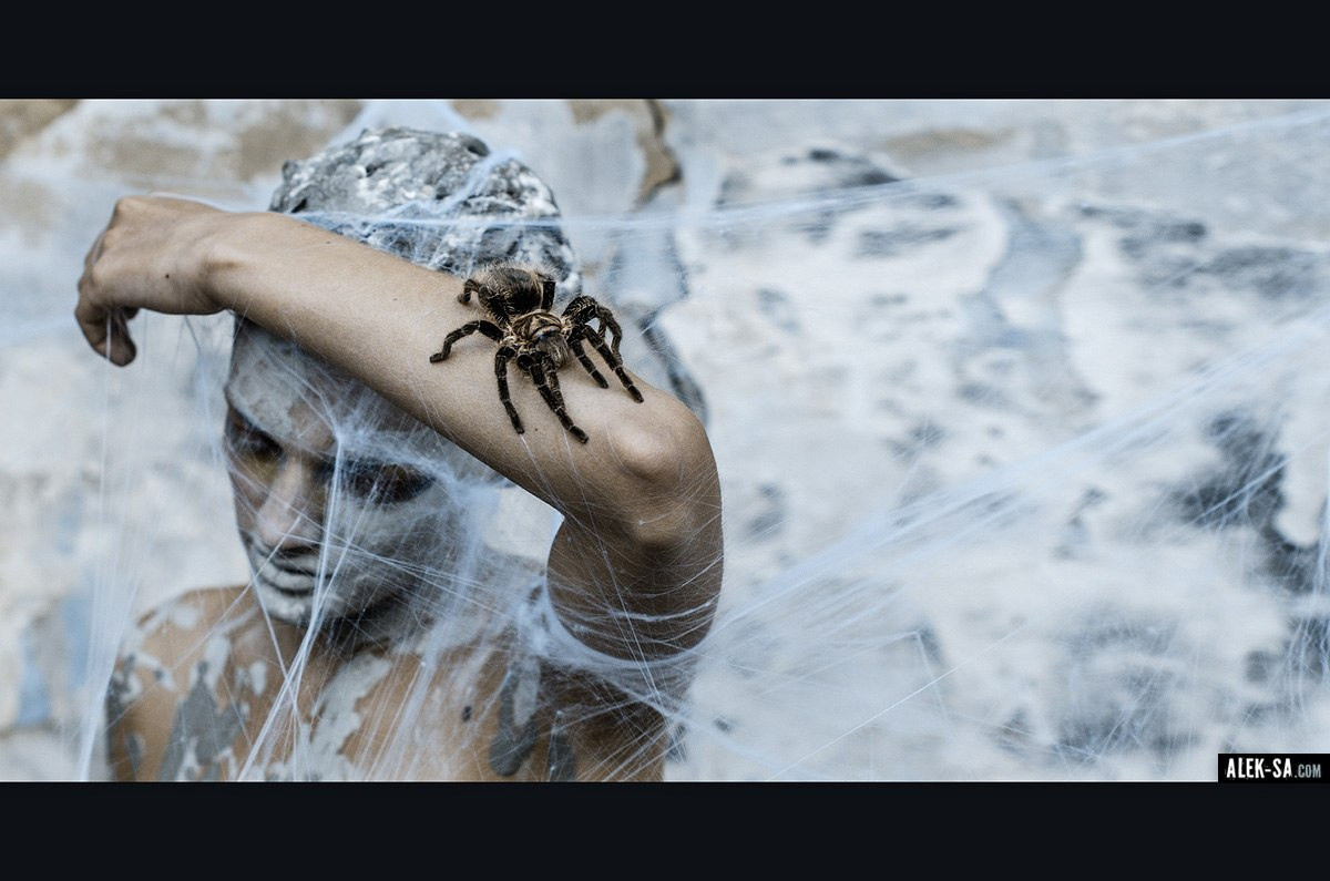 Арт с белой краской и пауком — фотограф Краснодар