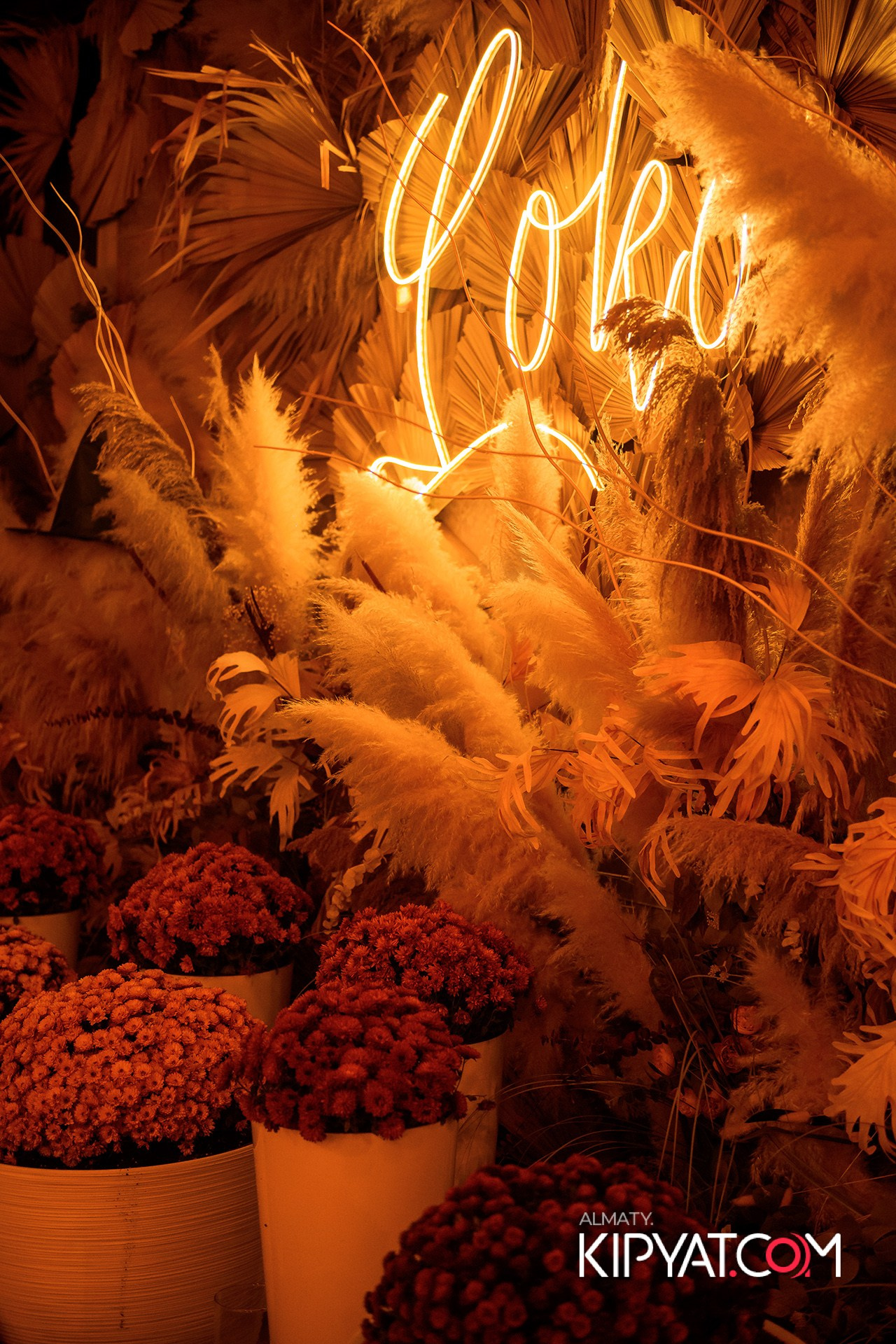 LOKO BAR. КИПЯТКОМ АЛМАТЫ!