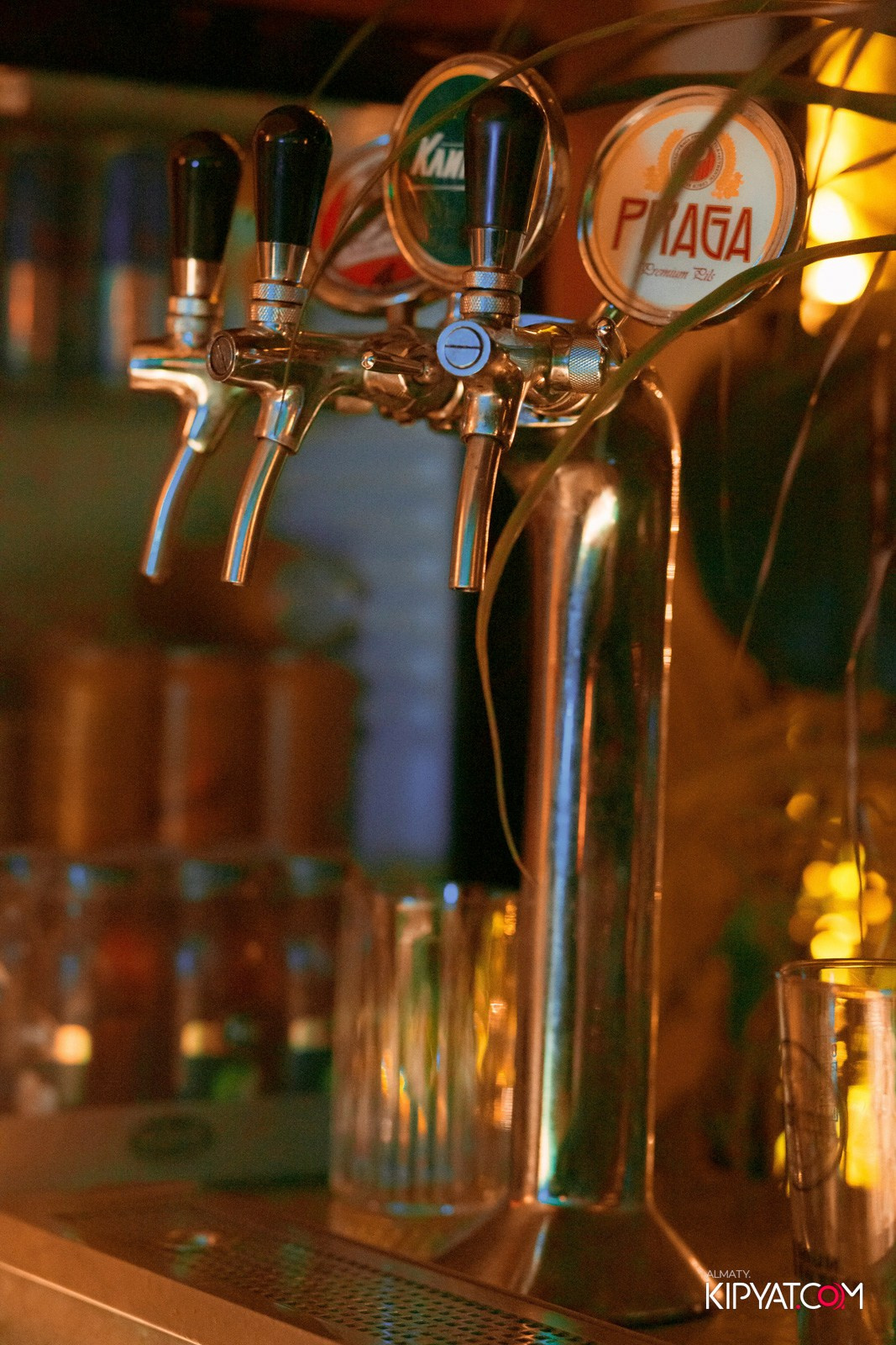 MODI RESTORANCHIK. КИПЯТКОМ АЛМАТЫ!