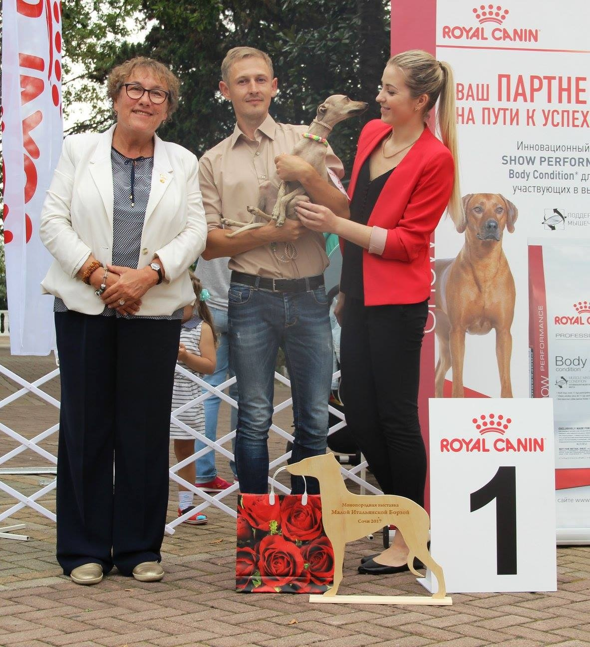 Организация монопородной выставки. Профессиональный питомник левреток РКФ/FCI ASTI SAPPHIRE 💎 Сочи|Санкт-Петербург