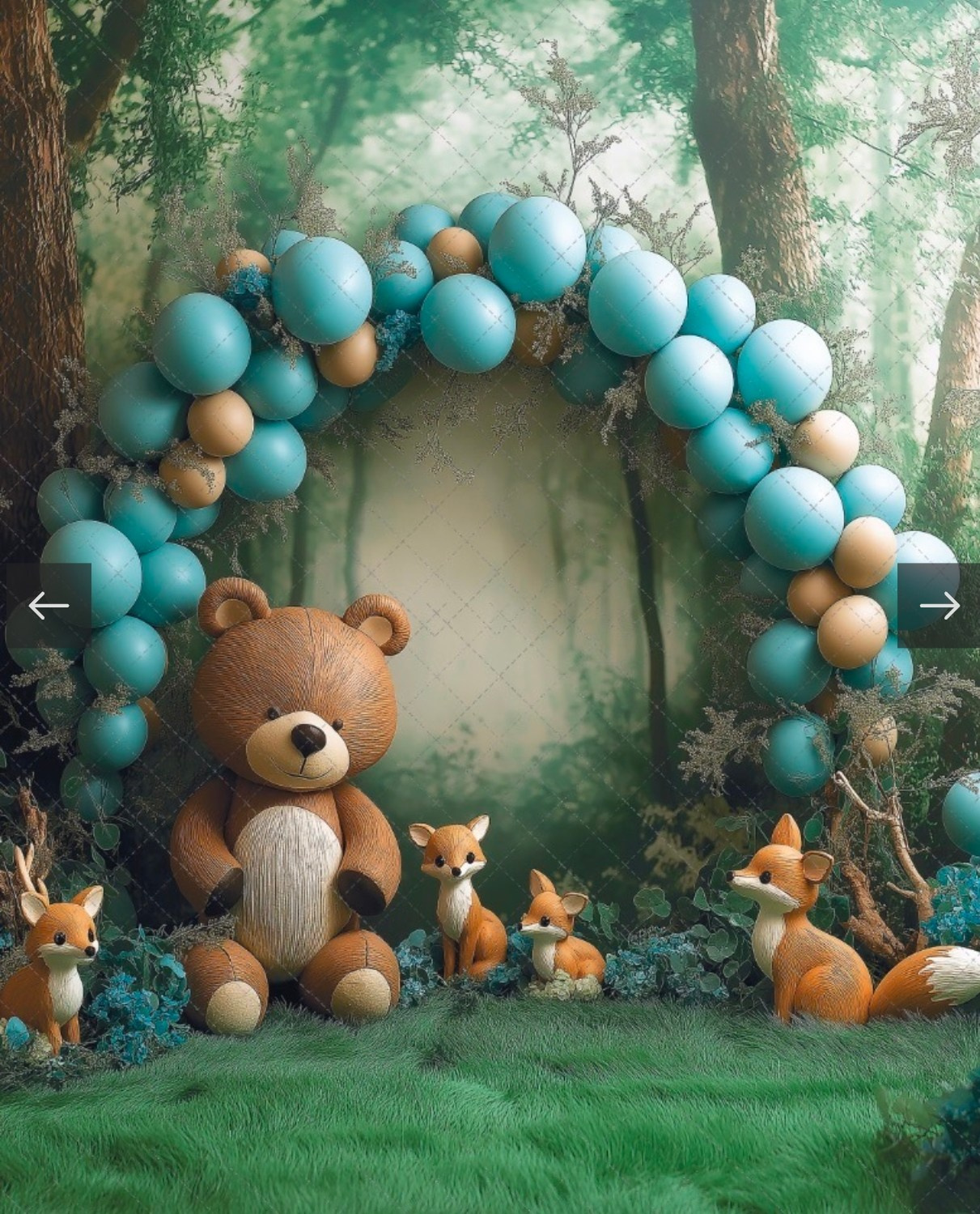 Папка трюмо (д/с). Школьный фотограф Евгения Саховская