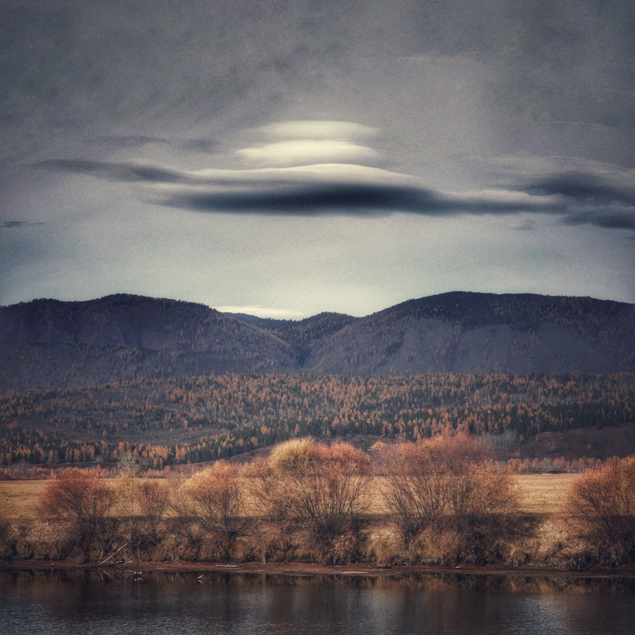 2019 год. Тащилин Сергей. Фотографии. Жизнь. Хобби