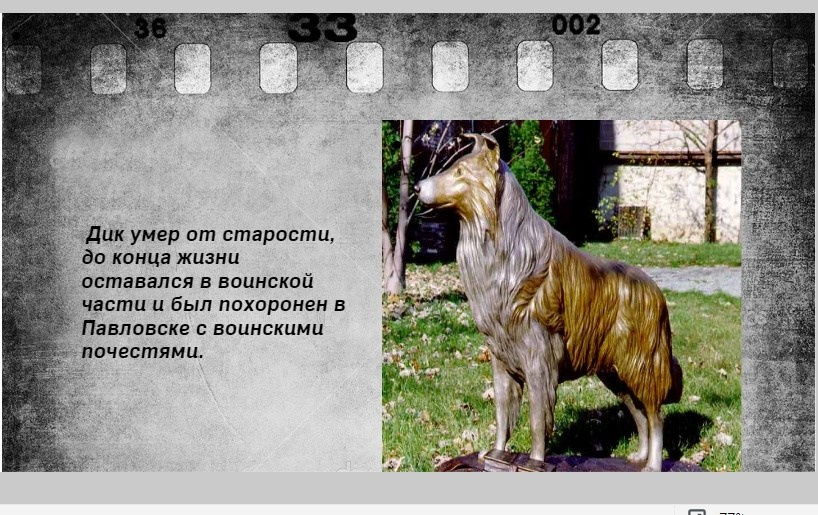 Мероприятия для юных кинологов — «Помним их имена», «Портрет фронтовой собаки». НРОО КЦ "Собаковод"