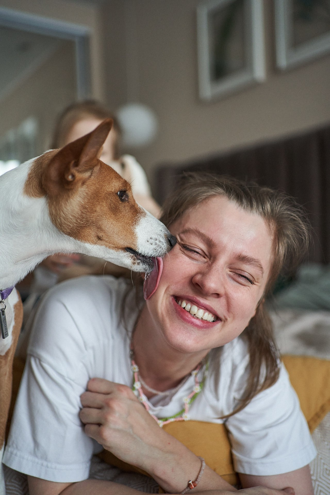 Аня, Майя и Пепси. Фотограф анималист Москва Дарья