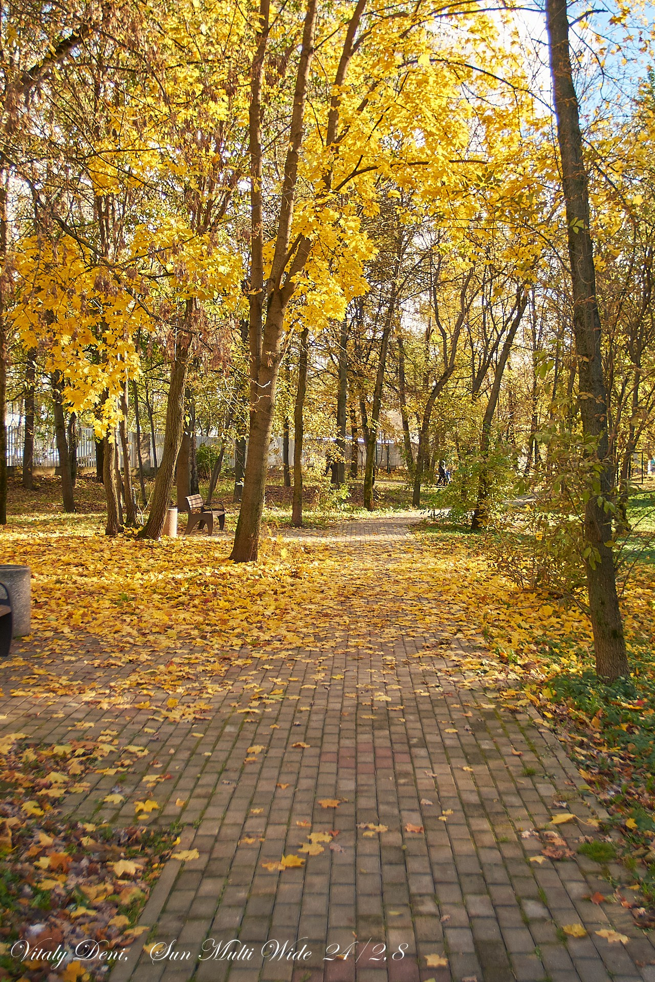 Красота осеннего парка!. Сайт фотографа Виталия Дени