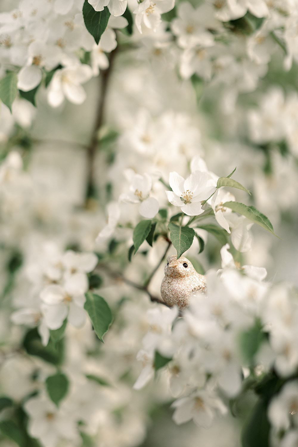 Катя. Портретный фотограф Юлия Красноперова в Барнауле/Заринске