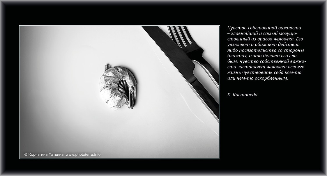 Совет дня — ориентир. Татьяна Корчагина. Фотограф, художник. Обучение фотографии