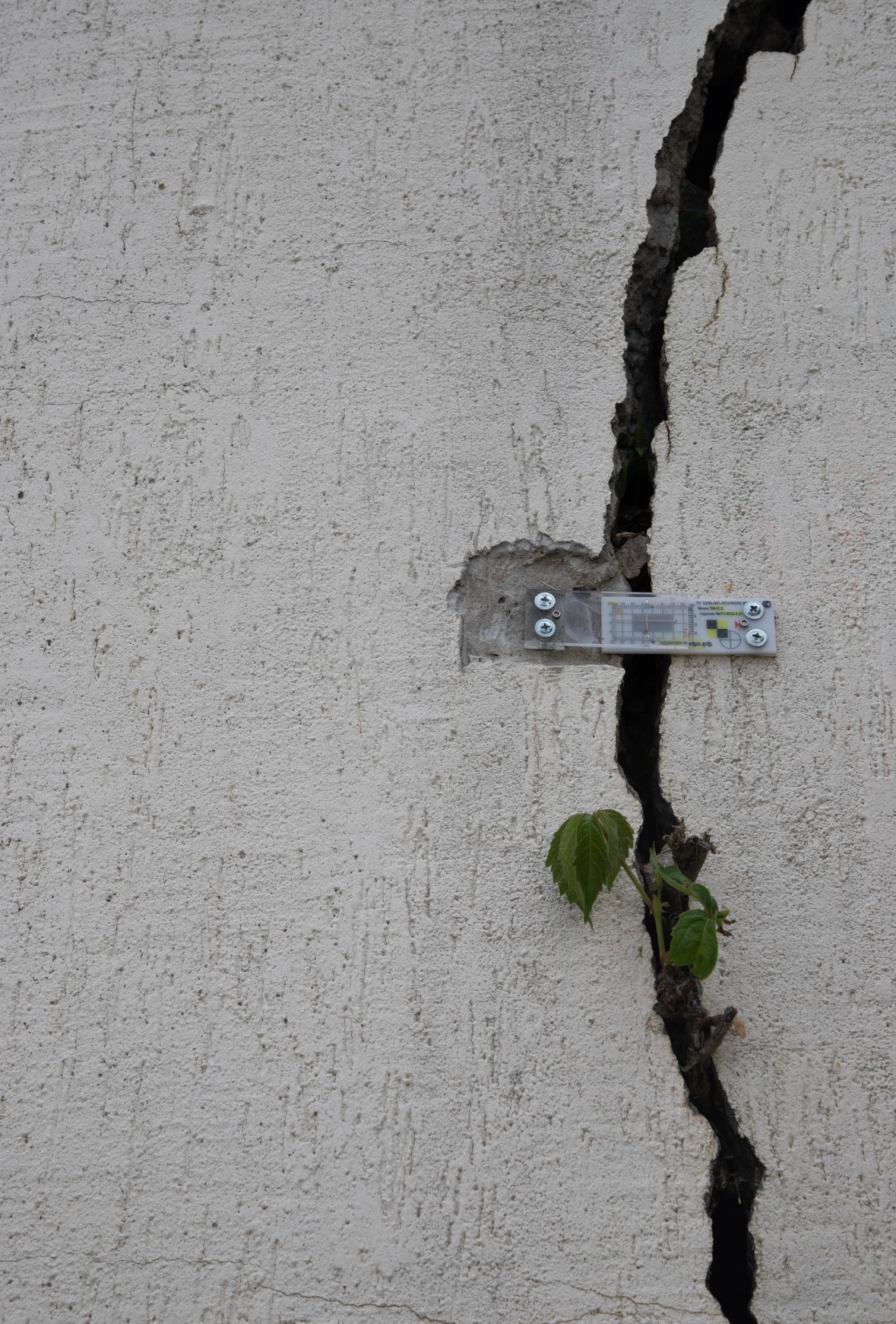 Улица Платонова. «ФотоСинтез»